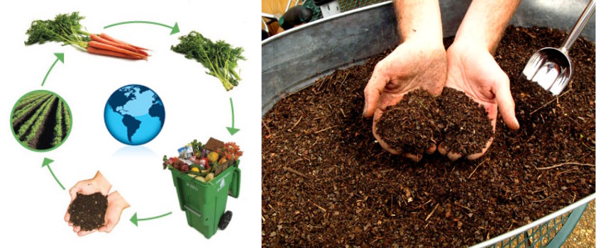 Zpracování vytřízeného bioodpadu.