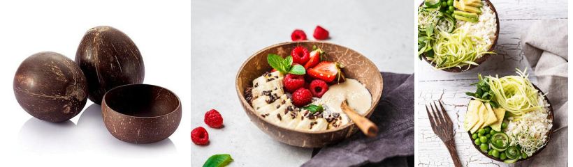 Blog článek kokosová miska z kokosu, použití a údržba