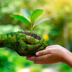 Ekologický úklid domácnosti, produkty a čističe - blog greenstore.cz