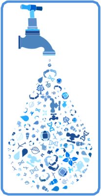 Kohoutková voda zdravá-nezdravá a pitný režim GreenStore.cz