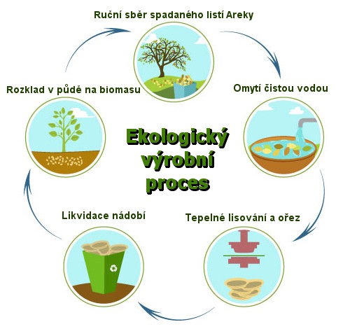 Ekologický výrobní proces kompostovatelného nádobí