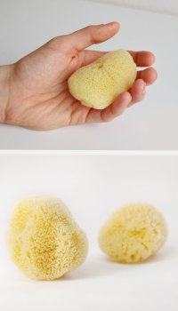 Kosmetická odličovací mořská houba GreenStore.cz