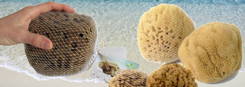 Koupelové minerální mořské houby