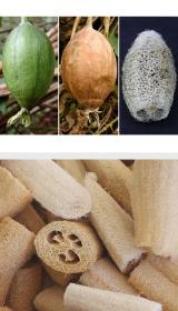 Lufa na úklid, výhody, použití, eko domácnost GreenStore.cz