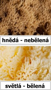 Minerální hnědá nebělená mořská houba a světlá silk - blog GreenStore.cz