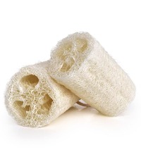 Přírodní tělová houba lufa blog greenstore.cz