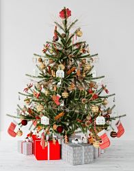Vánoční stromek vouchery a poukazy do greenstore.cz