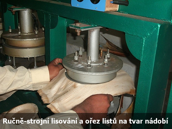 lisování a výroba listů z palmy areky