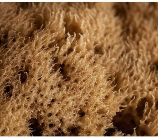 Kosmetická mořská houba Silk Mineral 6-8cm Artemis