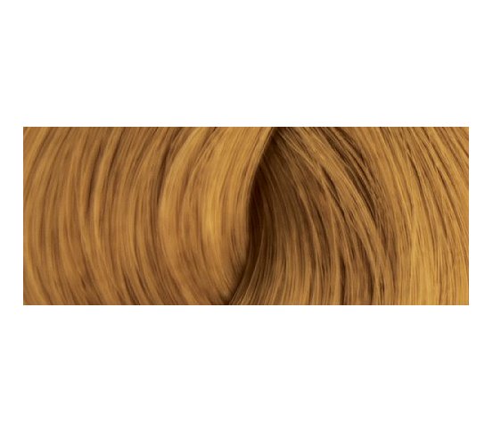 Color Erbe BIO Barva na vlasy Medová blond 8.31