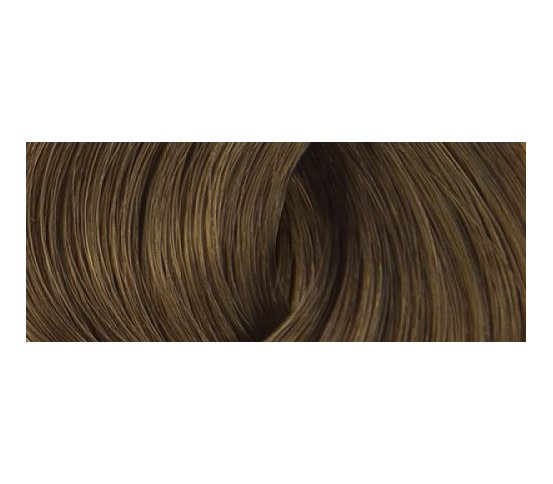 Color Erbe BIO Barva na vlasy Světle popelavě hnědá 5.1