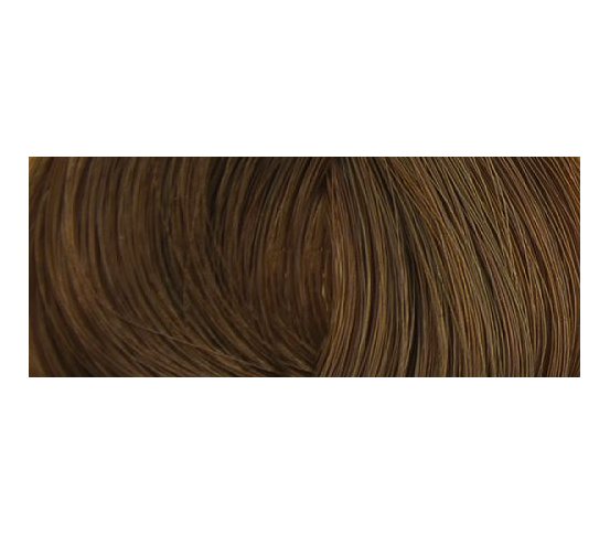 Color Erbe BIO Barva na vlasy Světle zlatohnědá 5.3