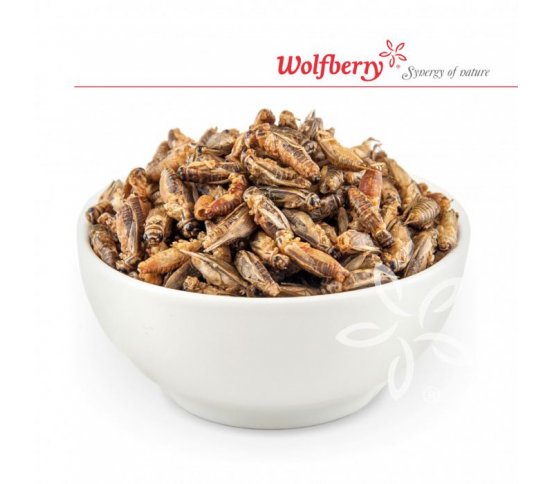 Cvrčci z pánvičky - česnek 20g Wolfberry 3