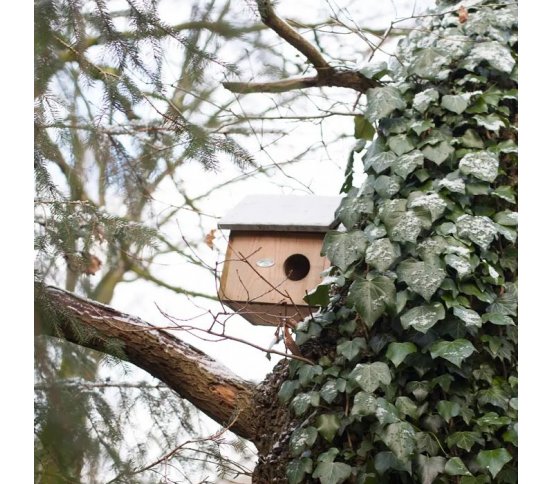 Dřevěná budka pro veverku Esschert Design 3