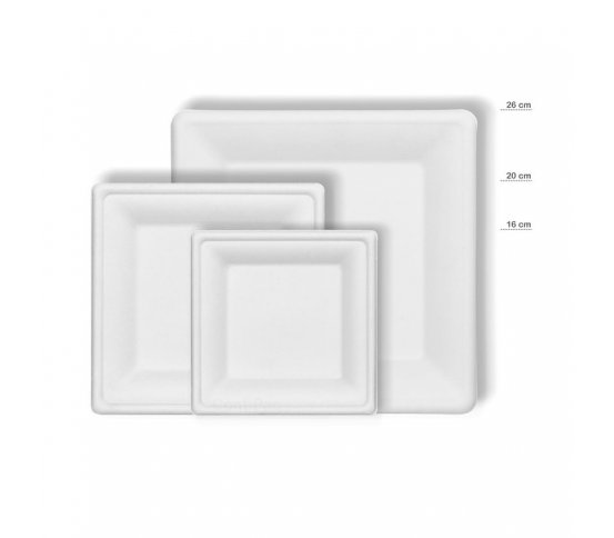 Jednorázový EKO Talíř čtvercový z třtiny Conti (50ks)