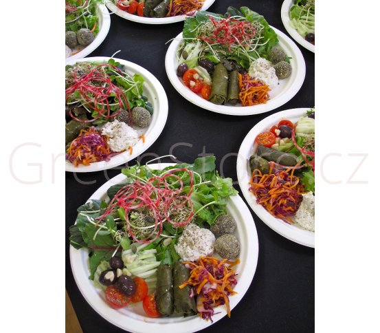 BIO talíř 22cm z cukrové třtiny