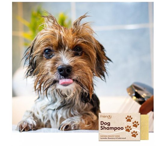 Friendly Soap Přírodní šampon pro psy 95g