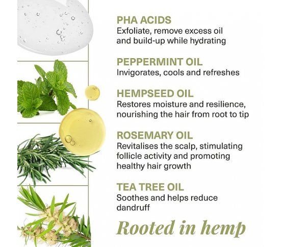 Hemptouch Čistící šampon Revive 250ml bio