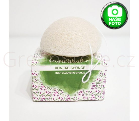 Konjak konjac houbička