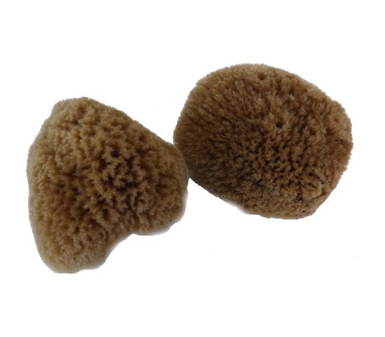 Minerální kosmetická houba 5-6cm