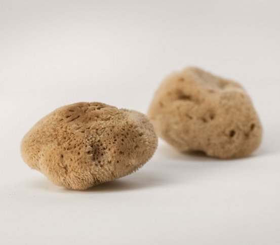 Kosmetická mořská houba Silk Mineral 6-8cm Artemis