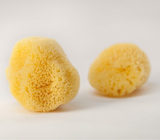 Kosmetická mořská houba Silk Světlá 6-8cm Artemis