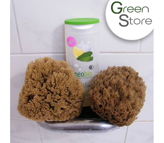 Mořská houba z Karibiku Mineral 13-14cm Bellini