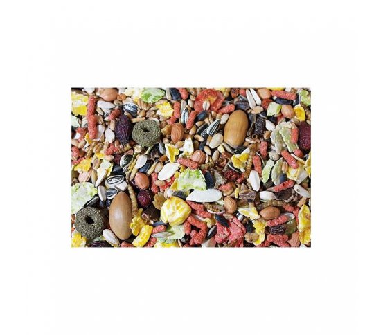 JR Farm Krmivo pro venkovní veverky 600g