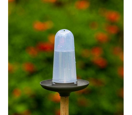 Krmítko a pítko 3v1 pro ptáky Robin - antracit Plastia 4