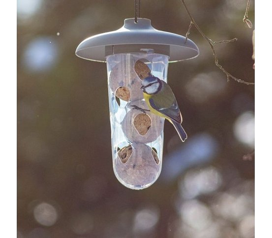 Krmítko a pítko 3v1 pro ptáky Robin - antracit Plastia 3