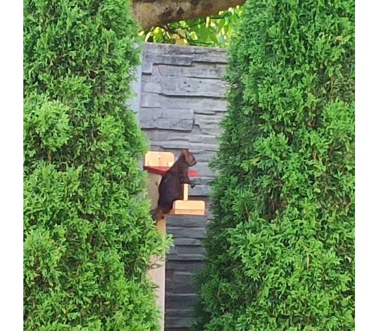 Krmítko pro veverky se zásobníkem