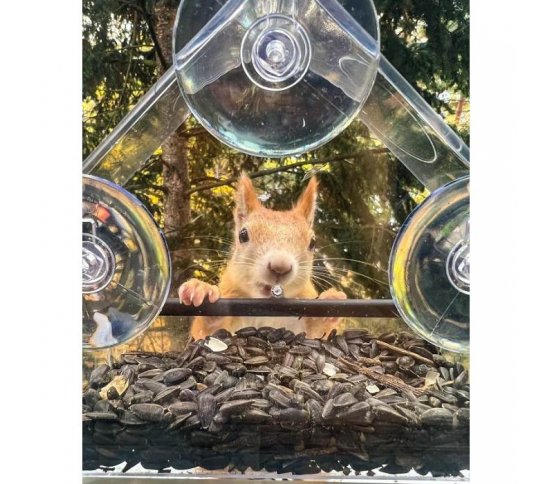 Krmítko domeček pro veverky na okno s přísavkami