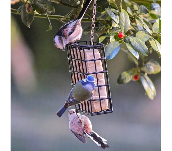 Kvalitní Krmítko na lojové koláče a bloky Pfiffikus