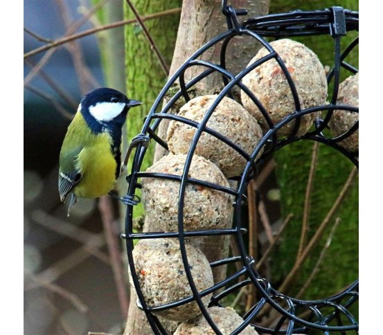 Kovové velké Krmítko na lojové koule - Kruh Pfiffikus