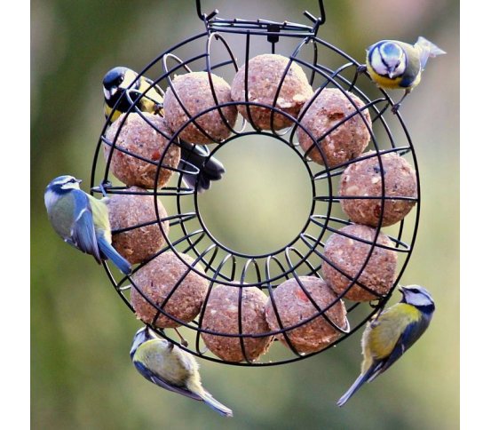 kvalitní drátěné Krmítko na lojové koule - Kruh Pfiffikus