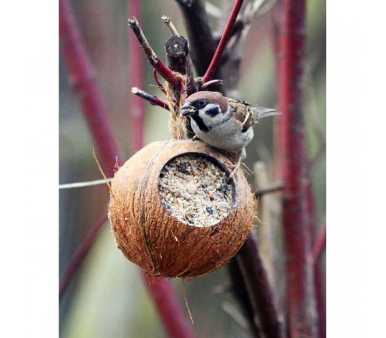 Krmítko pro ptáky kokos s náplní 400g Erdtmann