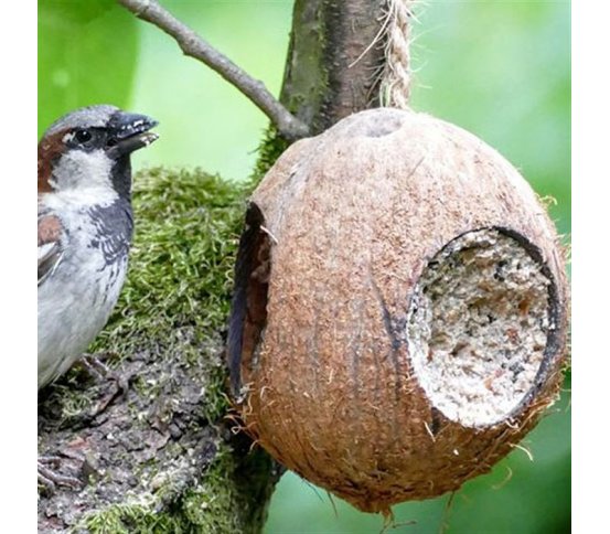Krmítko pro ptáky kokos s náplní 400g Erdtmann's