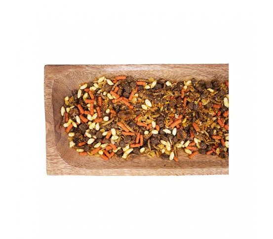 JR Farm Krmivo pro zahradní ježky Feast 500g