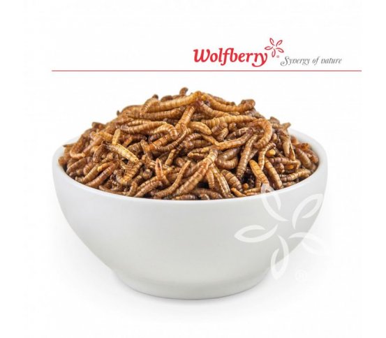 Larvičky z pánvičky - Česnek 20g Wolfberry 2