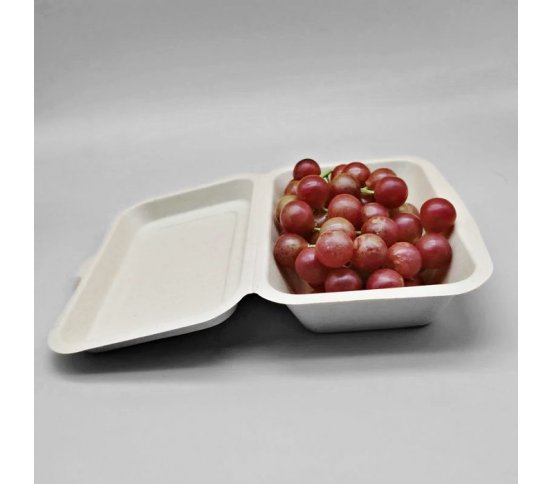 Eko jednorázový jídelní box z cukrové třtiny nedělený