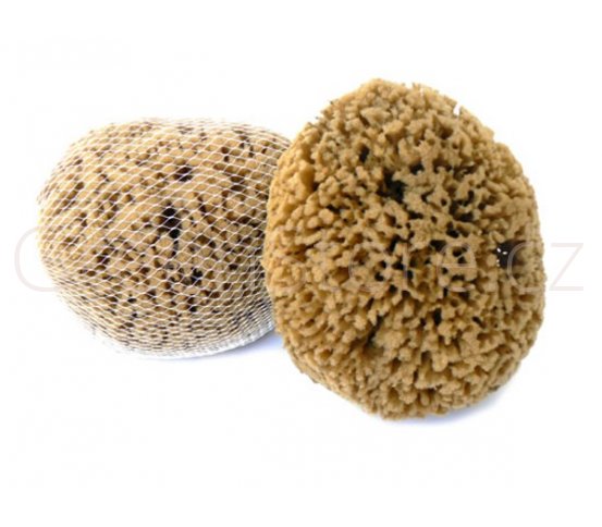 Mořská houba Mineral 13-14cm Caribbean Sun