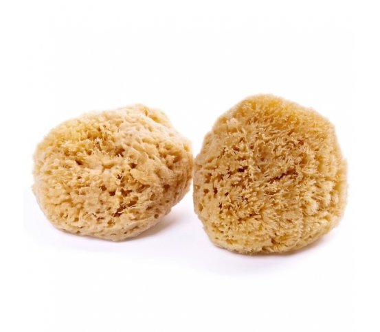 Mořská houba Karibská 12-13cm Caribbean Sun