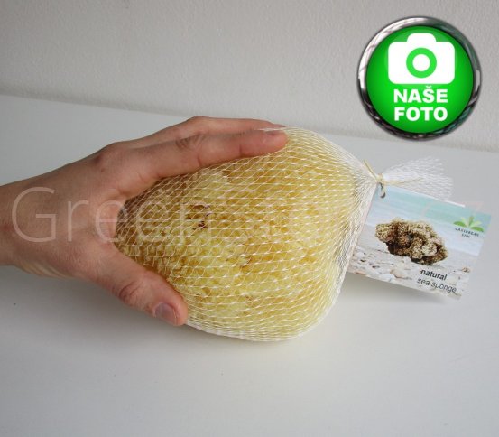 Přírodní mořská houba Karibská 12-13cm Caribbean Sun