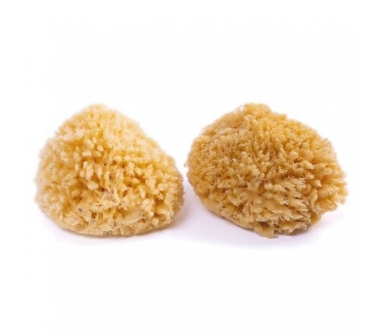 Mořská houba Karibská 7-9cm Caribbean Sun