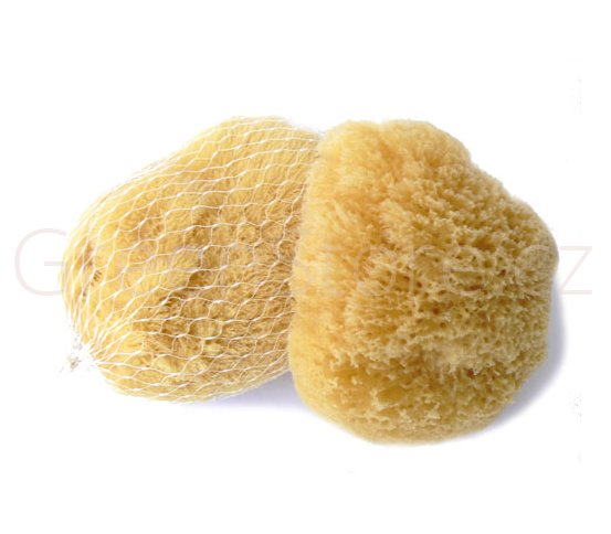 Mořská houba Karibská 7-9cm