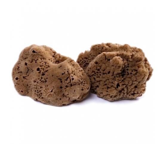 Mořská houba Mineral 15-16cm Caribbean Sun