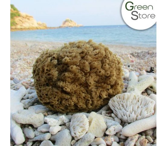 Mořská houba z Karibiku Mineral 14-15cm Bellini