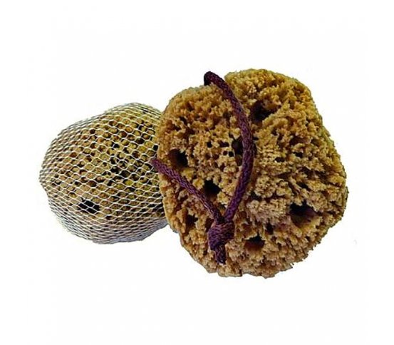 Mořská houba Mineral s provázkem 11-12cm Caribbean Sun