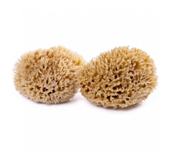 Mořská houba Mořská vlna 12-13cm Caribbean Sun