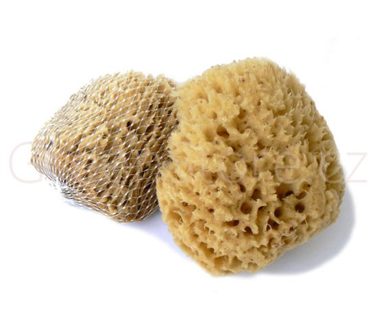 Mořská houba Mořská vlna 12-13cm